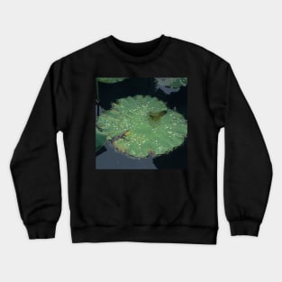 Rain Drops on the Pond Crewneck Sweatshirt